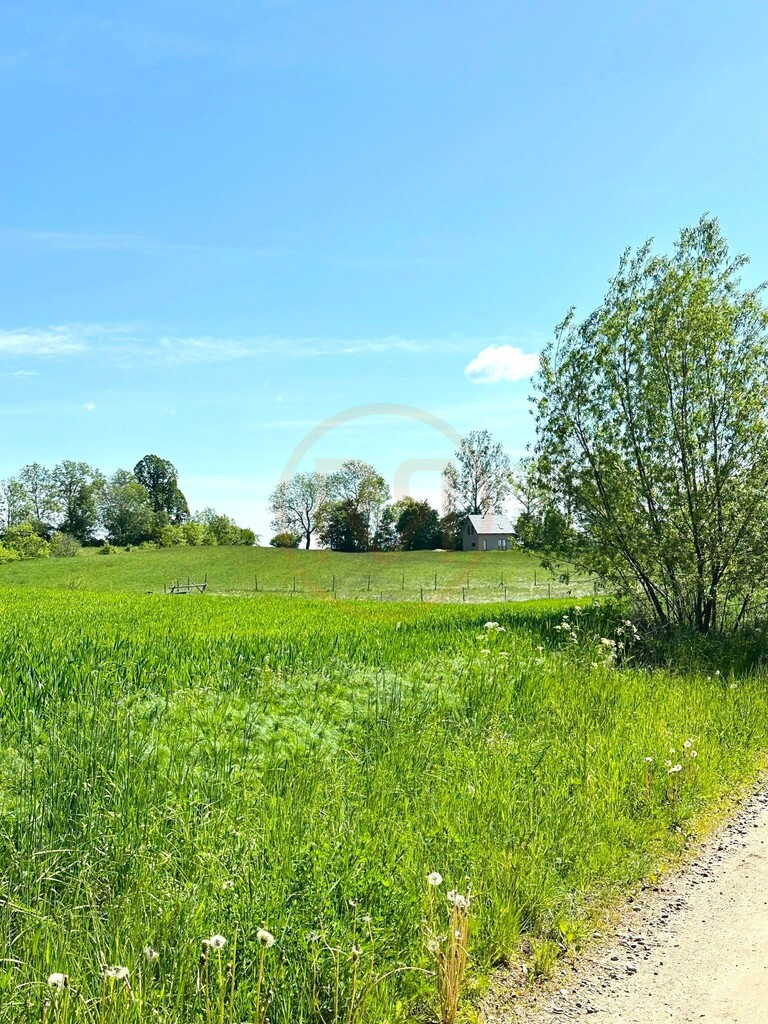 Działka Sprzedaż Wiśniowo Ełckie