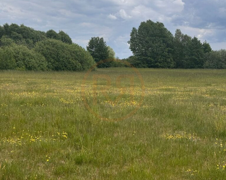 Działka Sprzedaż Regiel