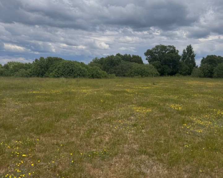 Działka Sprzedaż Regiel