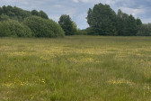 Działka Sprzedaż Regiel