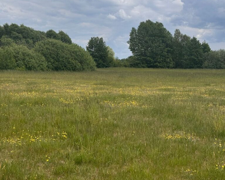Działka Sprzedaż Regiel