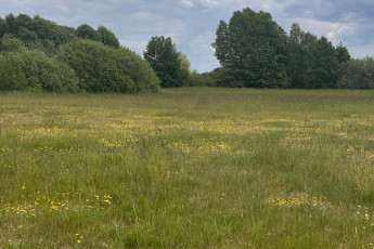 Działka Sprzedaż Regiel