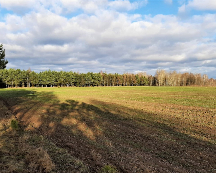 Działka Sprzedaż Regiel