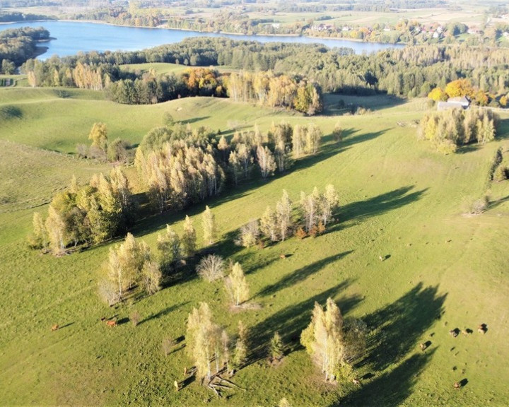 Działka Sprzedaż Sajzy