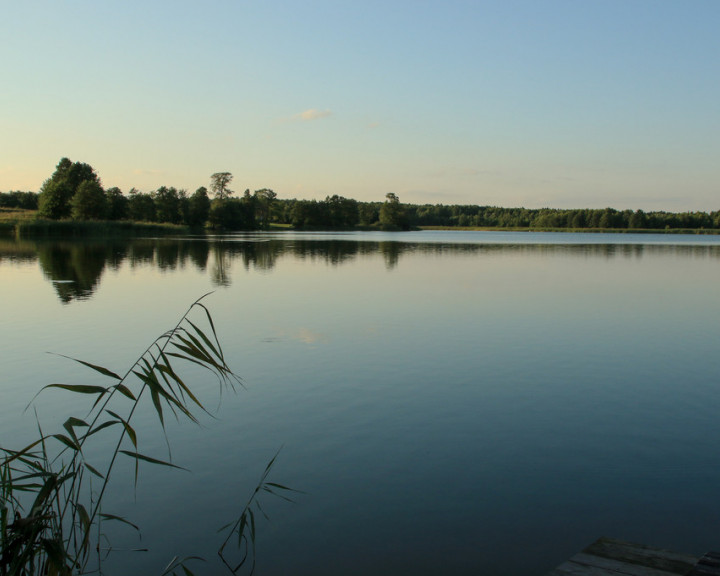 Działka Sprzedaż Krzywe